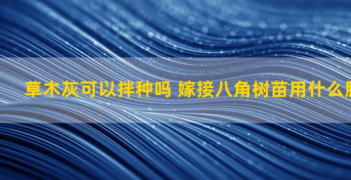 草木灰可以拌种吗 嫁接八角树苗用什么肥快速产根